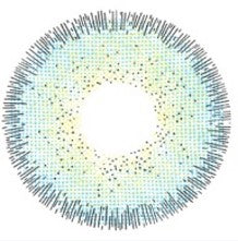 Genie European | Yearly Colored Contact Lenses